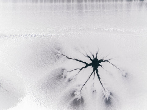 Ice texture background. Frozen lake surface with cracks resembling tree branches, winter landscape, Fusine lakes, Tarvisio, Friuli, Italy.