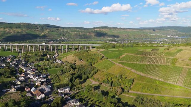 Moselle Viaduct Longuich, vineyard in Mosel valley, bridge of highway crossing river near Trier, german autobahn, aerial view
