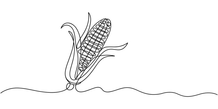 corn continuous one line drawing, Maize ear in continuous line art drawing style. Corn cob black linear sketch isolated on white background, one line Art icon drawing. Continuous one line drawing