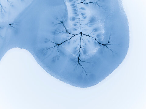 Ice texture background. Frozen lake surface with cracks resembling tree branches, winter landscape, Fusine lakes, Tarvisio, Friuli, Italy.