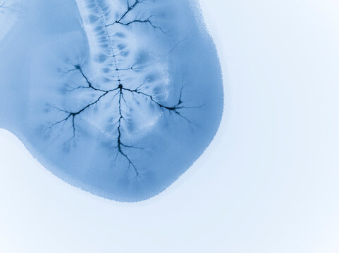 Ice texture background. Frozen lake surface with cracks resembling tree branches, winter landscape, Fusine lakes, Tarvisio, Friuli, Italy.