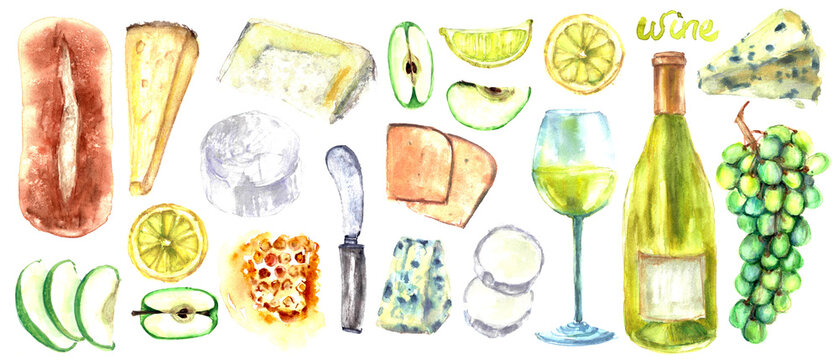 Wine and cheeseboard watercolor illustration. White wine bottle, snack, cheese, fruits, bread, honey. For food and drink background, wine list, party invitation, menu design.