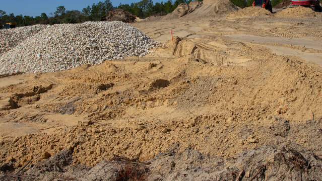 Native forest habitat destroyed for new housing construction in north central Florida