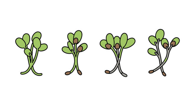 Alfalfa Sprouts Line art modern abstract concept illustration