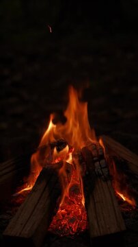 Warm Campfire Flames Burning at Night