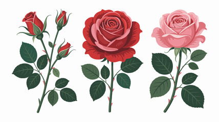 Fototapeta premium Elegant Rose Flowers Vector Set Red and Pink Roses with Green Leaves