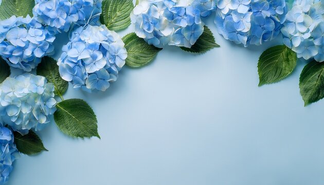soft blue hydrangea flowers and green leaves border with copy space
