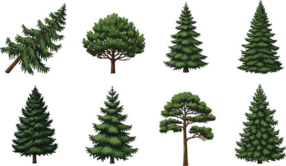 Fototapeta premium Collection of Realistic Pine and Fir Tree Vector Illustrations for Forest Landscapes, Outdoor Adventure Designs, Architectural Visualization, and Environmental Nature Projects