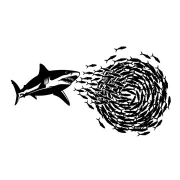 Shark Hunting School of Fish, Predator vs Prey, Ocean Wildlife