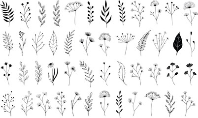 Naklejka premium Set of hand drawn plants, leaves, flowers. Silhouettes of natural elements for seasonal backgrounds, templates, wallpaper, cards, banners. set featuring a variety of delicate wild plants, herbs, leave