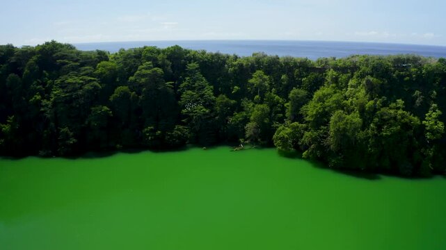 Aerial view of the vibrant green Tolire Lake surrounded by dense tropical forest and volcanic cliffs with the sea in the background in Ternate, North Maluku, Indonesia.