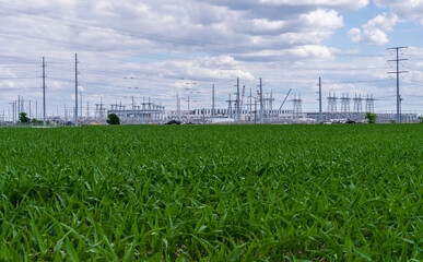 View of new Data Center in Hutto, Texas, behind field with crops. Electrical towers and power lines stretch to the horizon under a cloudy sky. © steheap