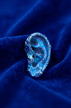Crinkled silver foil molded into the anatomical shape of a human ear rests atop deep cobalt velvet folds. Specular highlights dance across the metallic ridges against matte fabric texture.