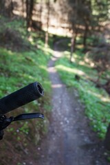 Fragment kierownicy roweru MTB widoczny z bliska, z długą leśną ścieżką w tle. Trasa ciągnie się przez naturalny teren i gęsty las.