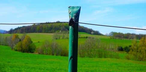 Metalowy zielony palik ogrodzeniowy z przewodem elektrycznym na terenie pastwiska. Proste zabezpieczenie dla zwierząt hodowlanych w wiejskim krajobrazie. © Adam