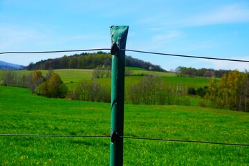 Zielony metalowy słupek z pastuchem elektrycznym do ogrodzenia dla bydła. Element wiejskiej infrastruktury na tle natury i pastwiska. © Adam