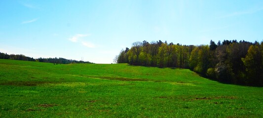Otwarta łąka rozciągająca się szeroko w krajobrazie, z lasem widocznym po bokach. Naturalna przestrzeń, dużo światła i spokojny, wiejski klimat. © Adam