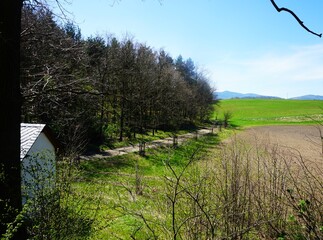 Spokojna wiejska ścieżka prowadzi przez otwartą łąkę, z widokiem na naturalny krajobraz. Po prawej stronie rozciąga się gęsty las, tworząc kontrast z jasną przestrzenią pól. © Adam