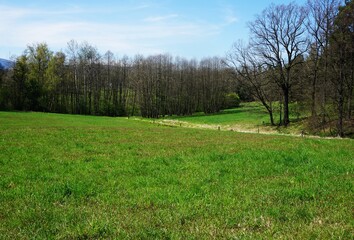 Ogrodzona łąka i las w tle. Czeski krajobraz i piękna natura. © Adam