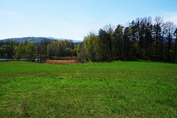 Spokojne jezioro otoczone drzewami, z zieloną łąką na pierwszym planie. Naturalny krajobraz, cisza, odbicia w wodzie i letni klimat wśród przyrody. © Adam