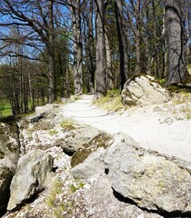 Ścieżka MTB biegnąca przez górzysty teren w lesie. Obok trasy widoczne kamienie i naturalne ukształtowanie podłoża, które podkreśla terenowy charakter szlaku. © Adam