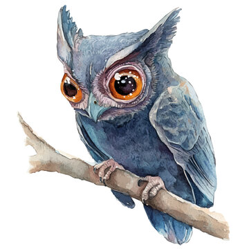watercolor of Colugo illustration graphic, isolated on a white background.