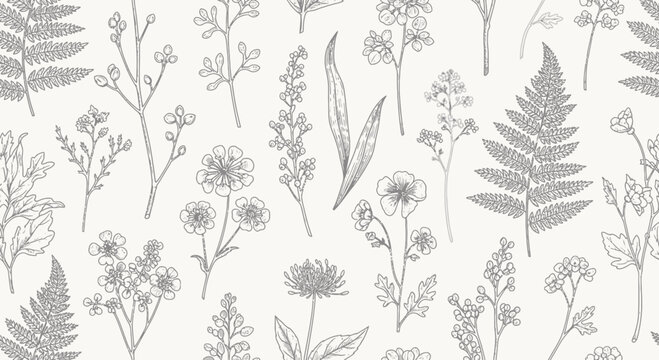 Botanical Sketch Pattern: Delicate Wildflowers and Ferns in Monochrome Line Art