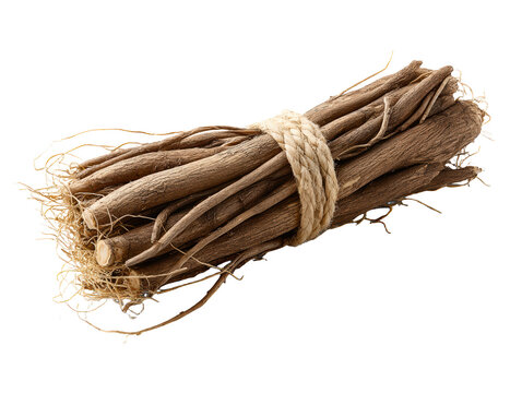 Sticks with knot bundle of sticks featuring a knot at the top sticks with knot - bundle of sticks featuring a knot at the top