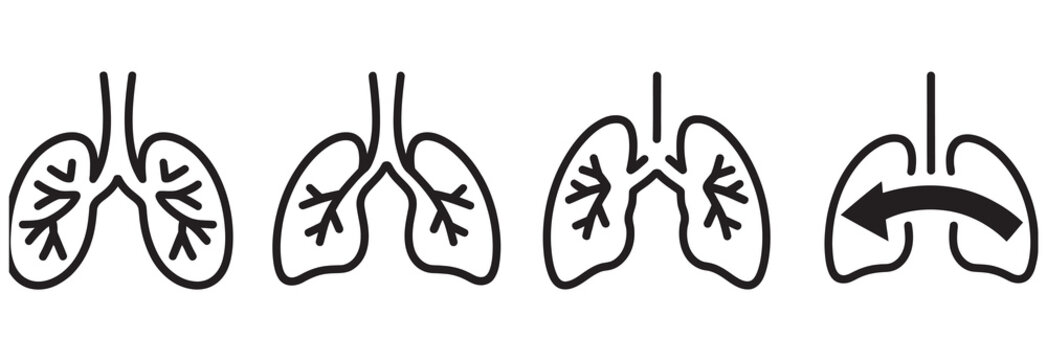 Illustration of human lungs showing inhalation and exhalation stages with arrows