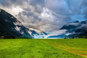 Naklejka premium Lush green grass in the hollow