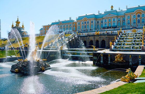 Russia, St.Petersburg, 21 April 2026: the main fountain with Samson and the lion on a clear sunny day, preparations for the opening of the fountain season in the Peterhof Palace, gold covered