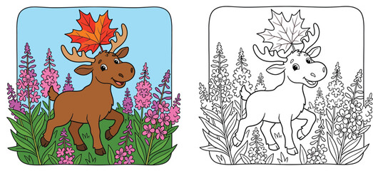 Obraz premium Cute Cartoon Moose with Maple Leaf in Wildflowers Canadian Nature Coloring Page