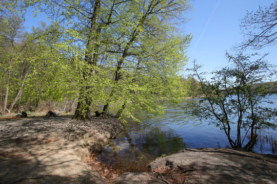A natural bathing beach on the Liepnitzsee circular hiking trail in spring, Barnim district, Brandenburg state, Germany.