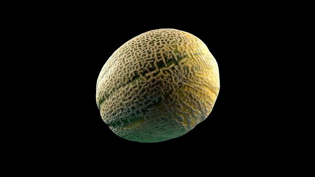 A high-contrast studio presentation of a ripe cantaloupe melon spinning continuously in a flawless 360 turntable animation cycle against a pitch-black background. Designed as a high-density commercial