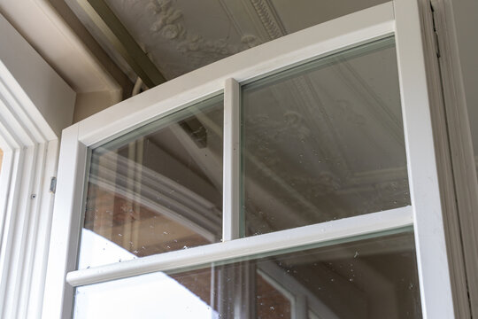 D&eacute;tail d'une fen&ecirc;tre blanche &agrave; petits carreaux sous un plafond aux moulures classiques. Le contraste entre menuiserie neuve et cachet ancien souligne une r&eacute;novation &eacute;l&eacute;gante et lumineuse.
