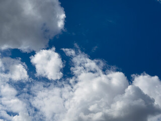 Obraz premium Blue sky with white cumulus clouds. Bright cloudscape fills the frame with open daylight atmosphere. Natural weather background for travel, design, and environment themes..