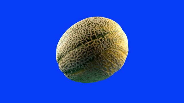 A detailed 3D model of a whole, textured cantaloupe melon with its distinct netted green and yellow rind skin. Placed against a bright solid blue screen backdrop for easy keying into agricultural or g