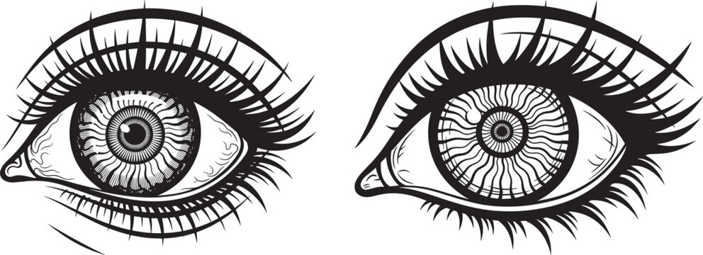 Black and white illustration of two detailed female eyes with long lashes body part line art human eye eyelashes illustration monochrome