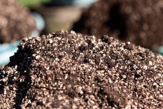 Close-up of a pile of nutrient-rich soil with perlite for gardening and plant cultivation