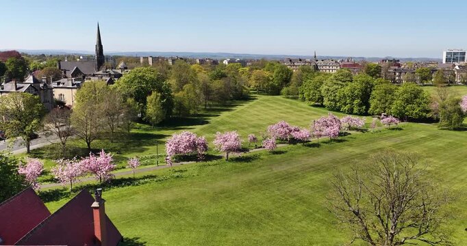 Harrogate North Yorkshire aerial view of blossom trees lining a green park in spring with blue skies and the town skyline beyond showing a peaceful British urban landscape from above in the springtime