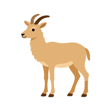 Illustration of a tan mountain goat standing in a profile pose on a white background