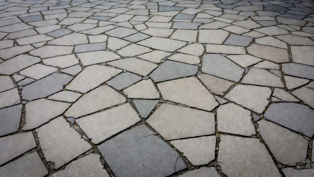 Irregularly shaped grey stone paving slabs create a textured, geometric pattern on a pathway.