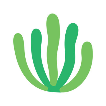 Stylized green algae with rounded leaves forms a simple, organic shape on a white background