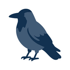 Fototapeta premium Simple flat vector illustration of a dark blue crow isolated on a white background
