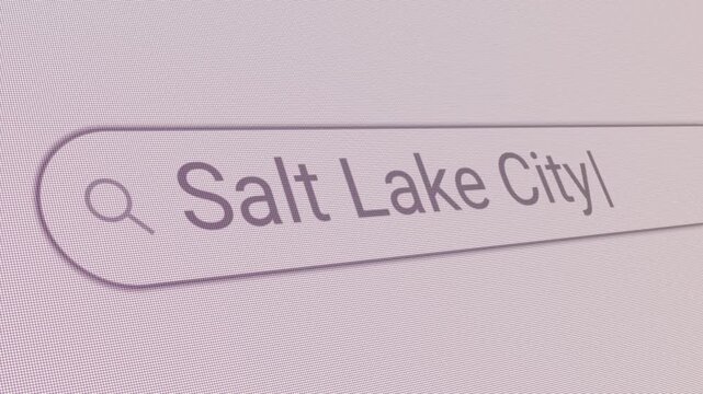 Search Bar Salt Lake City 
Close Up Single Line Typing Text Box Layout Web Database Browser Engine Concept