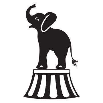 elephant vector illustration