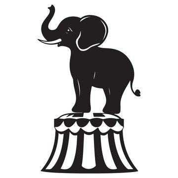 elephant vector illustration