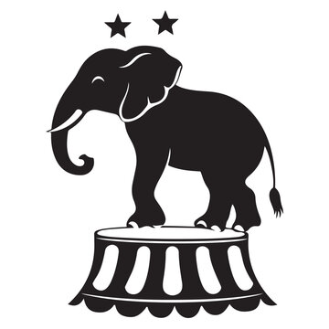 elephant vector illustration