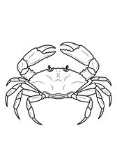 Fototapeta premium A clear, stylistic black and white line art illustration of a marine crab, prominently featuring its iconic large pincer claws and numerous segmented walking legs, great for coloring.