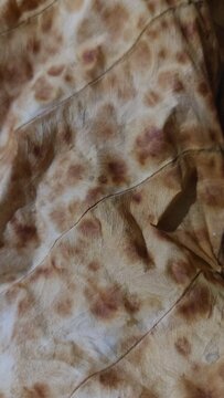 Close-up photo of a dried Alocasia odora leaf featuring natural texture and unique spotted pattern
